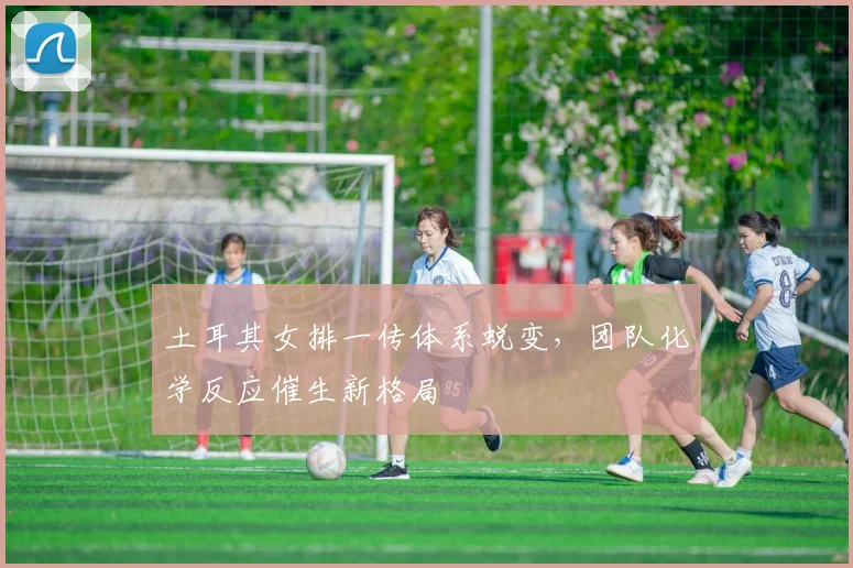 土耳其女排一传体系蜕变，团队化学反应催生新格局