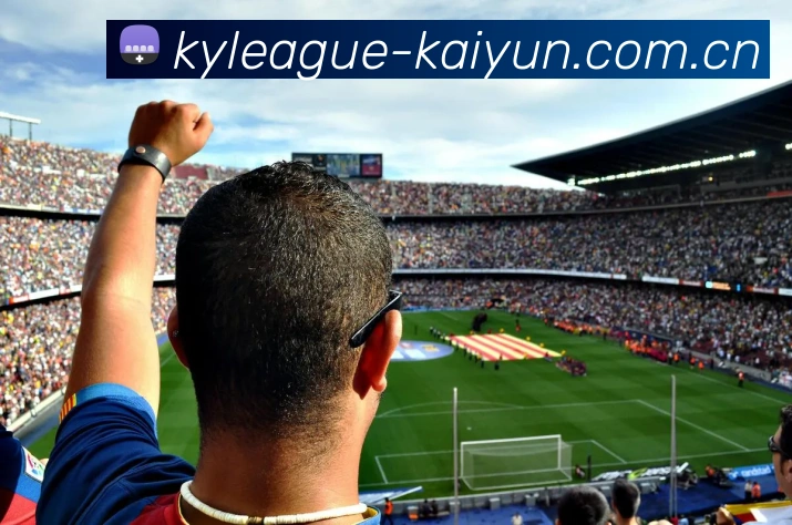 Kaiyun App 多端展示图